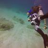 Picture taken during the dive