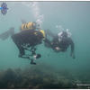 Picture taken during the dive