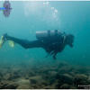 Picture taken during the dive
