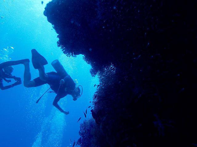 PandaDumnam.com - Dive Center in Thailand