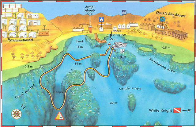 Sharks Bay Umbi Diving Village - Dive Center in Egypt