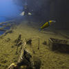 Picture taken during the dive