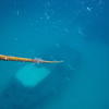Picture taken during the dive