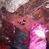 Picture taken during the dive