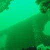 Picture taken during the dive