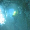 Picture taken during the dive