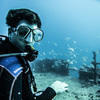 Picture taken during the dive