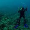 Picture taken during the dive