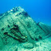 Picture taken during the dive