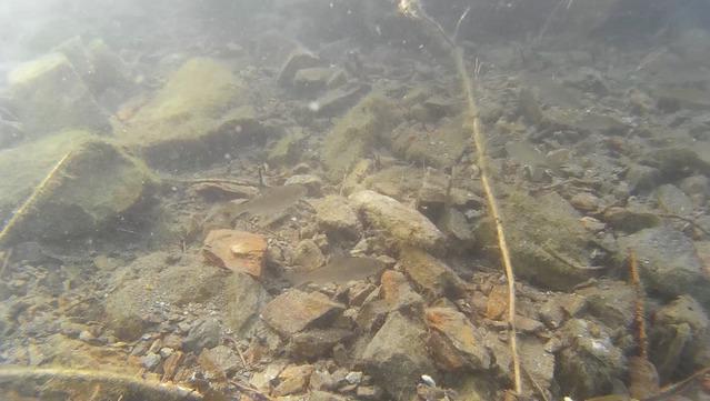 Diving in Czech Republic, Hosteradice - By Zora Venerová