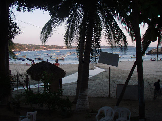 Puerto Dive Center - Dive Center in Mexico