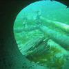 Picture taken during the dive