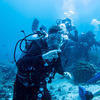 Picture taken during the dive