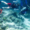 Picture taken during the dive