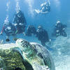 Picture taken during the dive