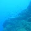 Picture taken during the dive