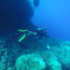 Picture taken during the dive