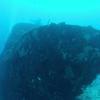Picture taken during the dive