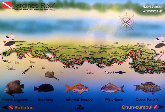 Phocea Mexico - Dive Center in United States