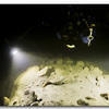 Picture taken during the dive