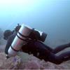 Picture taken during the dive