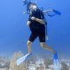 Picture taken during the dive