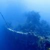 Picture taken during the dive