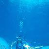 Picture taken during the dive