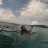 Picture taken during the dive