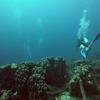 Picture taken during the dive