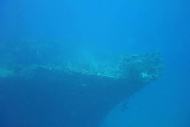 Pegasus Diving - Dive Center
