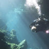 Picture taken during the dive