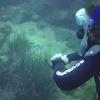 Picture taken during the dive