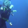 Picture taken during the dive