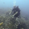 Picture taken during the dive