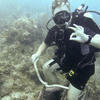 Picture taken during the dive