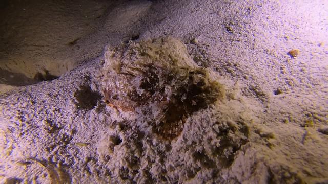 Sipadan-Mabul Resort, Sdn Bhd - Dive Center in Malaysia