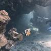 Picture taken during the dive