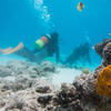 Picture taken during the dive