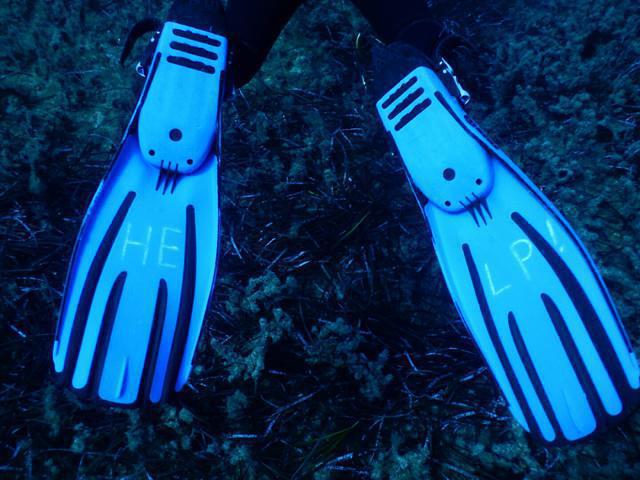 Moby Dives Co., Ltd. - Dive Center in Malta