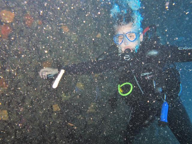 Omega Divers - Dive Center in Grecia