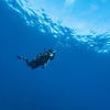 Picture taken during the dive