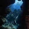 Picture taken during the dive