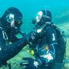 Picture taken during the dive