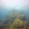 Picture taken during the dive