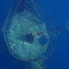 Picture taken during the dive