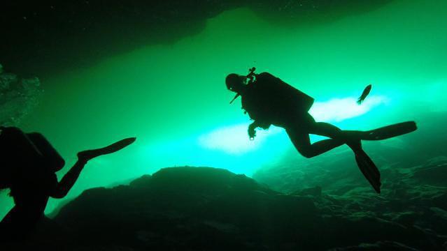 Dive Aventuras - Dive Center