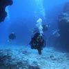 Picture taken during the dive