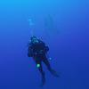 Picture taken during the dive