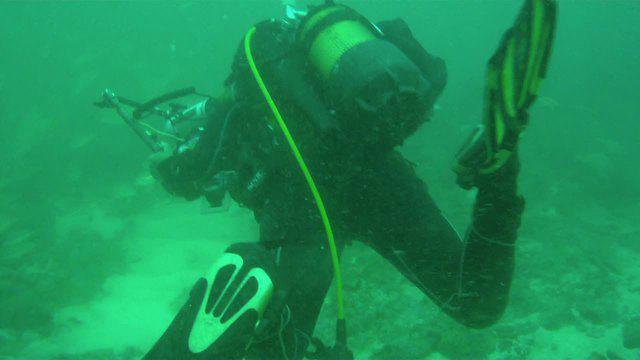 Les Plongeurs Du Cap - Dive Center in Francia